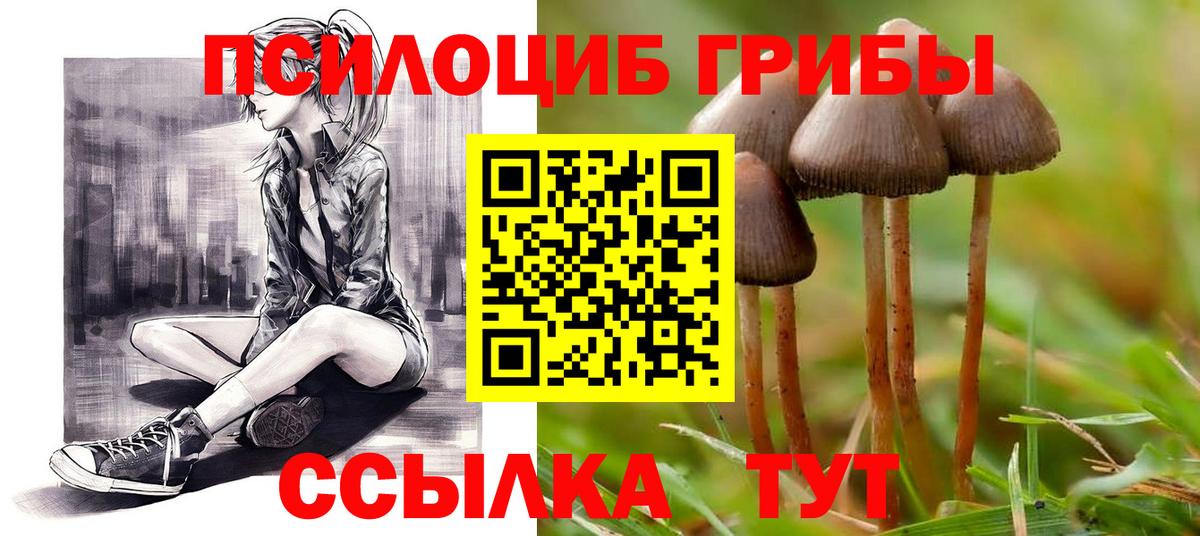 Псилоцибиновые грибы Magic Shrooms  Галлюциногенные грибы MAGIC MUSHROOMS  Асбест  Вход с VPN 